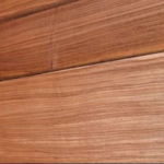 Exotic Bedwood Zebrawood